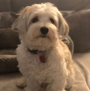 Meet your Posher, Hannah